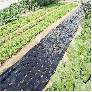BCJMKDX Film Transparente, Película Protectora for Cultivo de Plantas agrícolas, Color Negro, 25 m, 5 Orificios, 0,02 mm