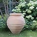 Produktbild Kreta-Keramik mediterane hochwertige Amphore 60 cm,frostfest für Innen und Außen, Garten Terrasse Deko, Ficus 60 cm