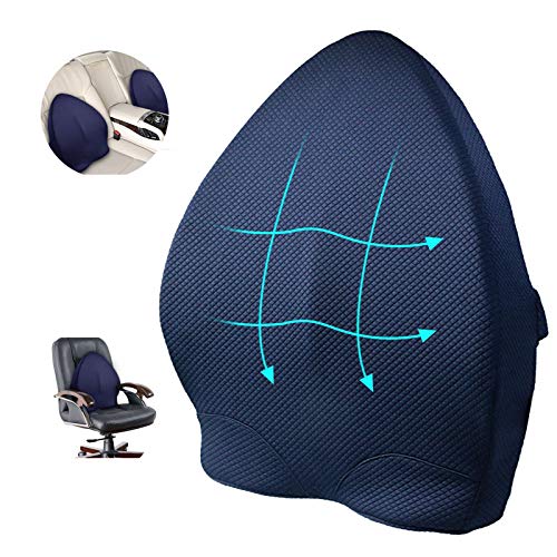 aag Memory Foam Lumbar Support Back Cushion,Ergonomic 3D Ventilative Mesh Lumbar Support Pillow,Orthopedic Design for Lower Back Pain Relief,Adjustable Straps for Car,Recliner or Office Chair