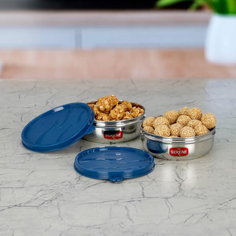 Serene BPA-Free Perfect Portion Containers - Spill Proof & Air Tight Food Grade Stainless Steel[1171, 300ML Each Dark Blue, Set of 2]