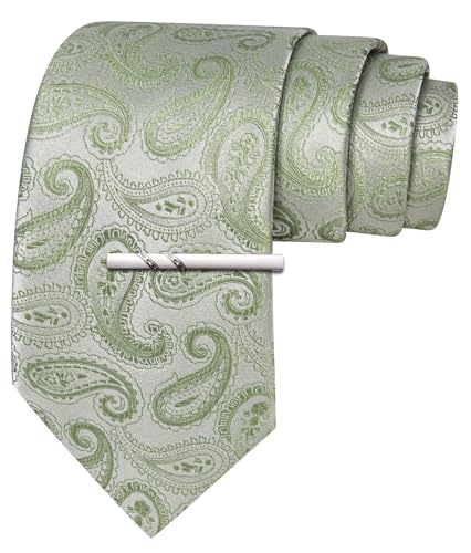 Image of Barry.Wang Paisley Tie for Men Silk Woven Necktie and Tie Clip Set Wedding Party Business Formal