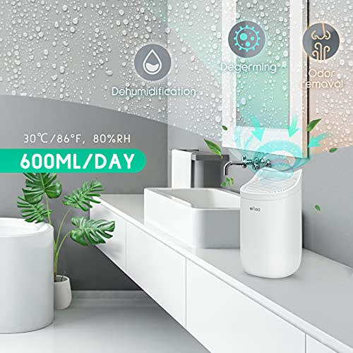 https://m.media-amazon.com/images/I/5145d64lHJS._SL500_.jpg