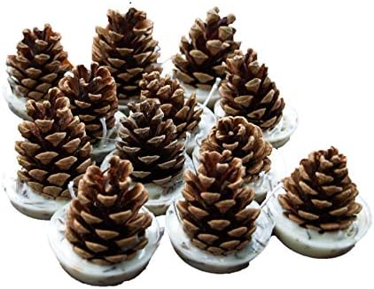 Kindlecone - Natural pine cone firelighters - Winter Warmer - Box of 12