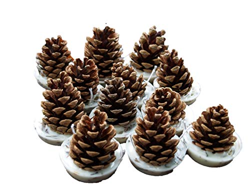 Kindlecone - Natural pine cone firelighters - Winter Warmer - Box of 12