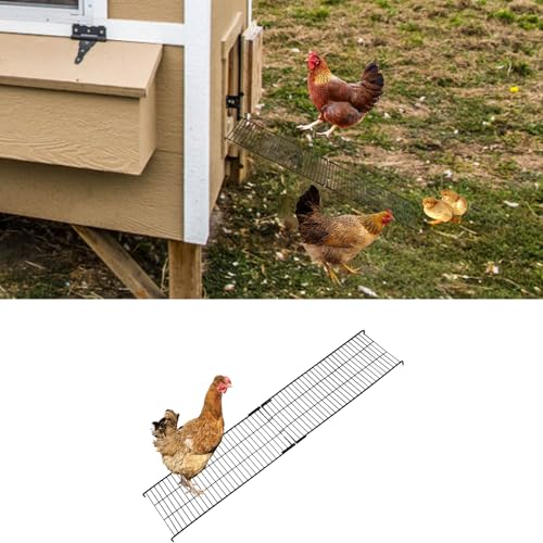 2 PCS Chicken Coop Ramp with Cable Ties Black Adjustable Length (16.5-29.5 Inch) Iron Wire Ladder for Coop Henhouse Leg Problem or Cannot Fly Chickens Waterproof