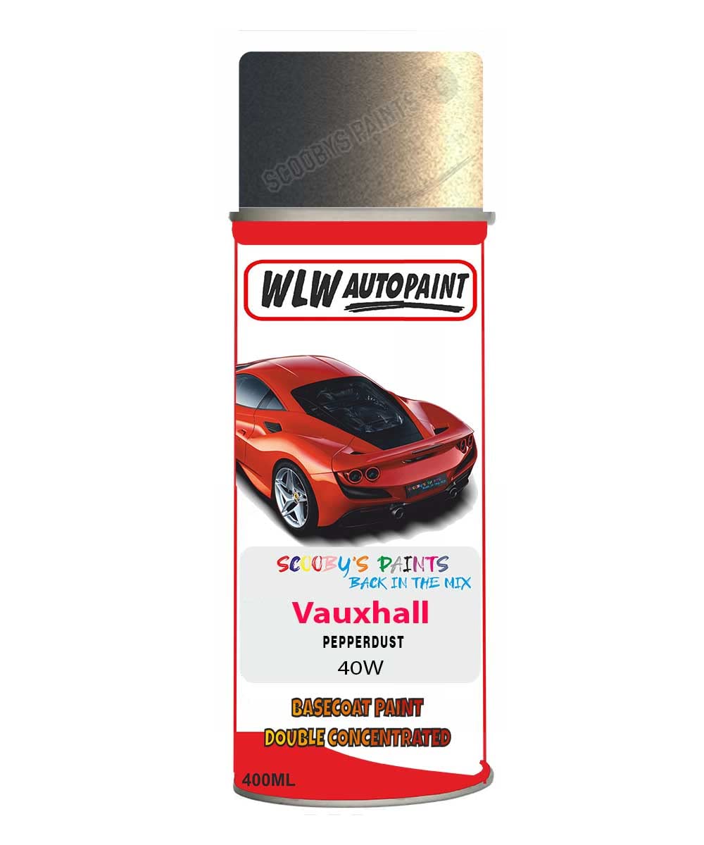 SCOOBYS PAINTS BACK IN THE MIX Basecoat Aerosol Spray Paint For Vauxhall Meriva Pepperdust 2011-2018 Code 40W