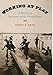Working At Play: A History of Vacations in the United States
