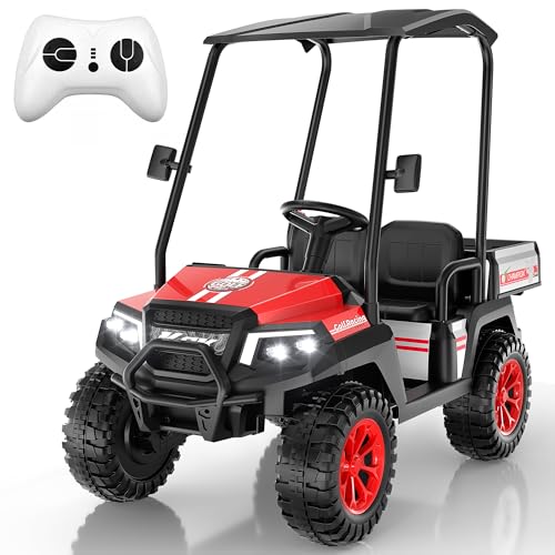 Kids Golf Cart w/Detachable Awning–4WD 2 Seater Ride on Car