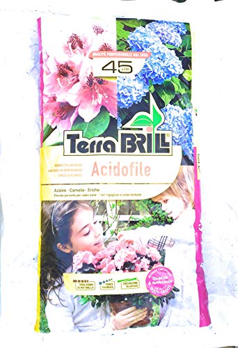 BRILL Terriccio per Acidofile da 45Lt per Azalee, Rododendri, Camelie, Eriche, Ciclamini