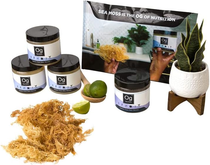 2oz Raw OG Raw Organic Sea Moss | 100% Wildcrafted, Sundried | Makes 32 Fluid OZ | Protein and Minerals Supplement for Immunity, Gut Health, Collagen & Thyroid