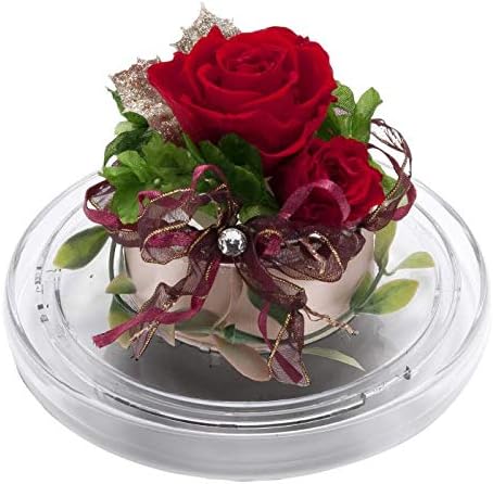 Millennium Art Red Xmas Round Dome MS