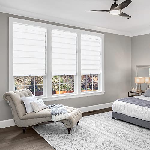 Chicology Zebra Blinds , Roller Window Shades , Blinds For Windows , Roller Shades For Windows , Window Shades For Home , Window Shades , Pull Down Shades For Windows , 46"W X 72"H , Basic Arctic #TOP1