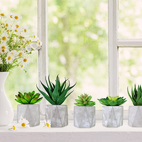6 Pcs Assorted Small Artificial Potted Succulents Plants Aloe Sedum In Gray Concrete Ceramic Pots Geometric Planters For Party Favor Gift Home Windowsill Tabletop Shelf Indoor Outdoor Greenery Decor #TOP6