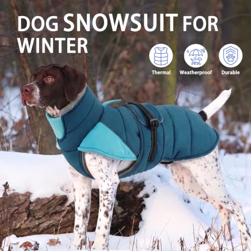 Image of MIGOHI Warm Dog Jacket, Waterproof Dog Winter Coat, Teal,L
