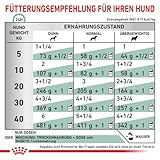 Royal Canin Veterinary Diabetic Special Low Carbohydrate Canine Mousse | 12 x 410 g | Nassfutter für ausgewachsene Hunde | Regulierung des Blutzuckerspiegels | Hoher Proteingehalt