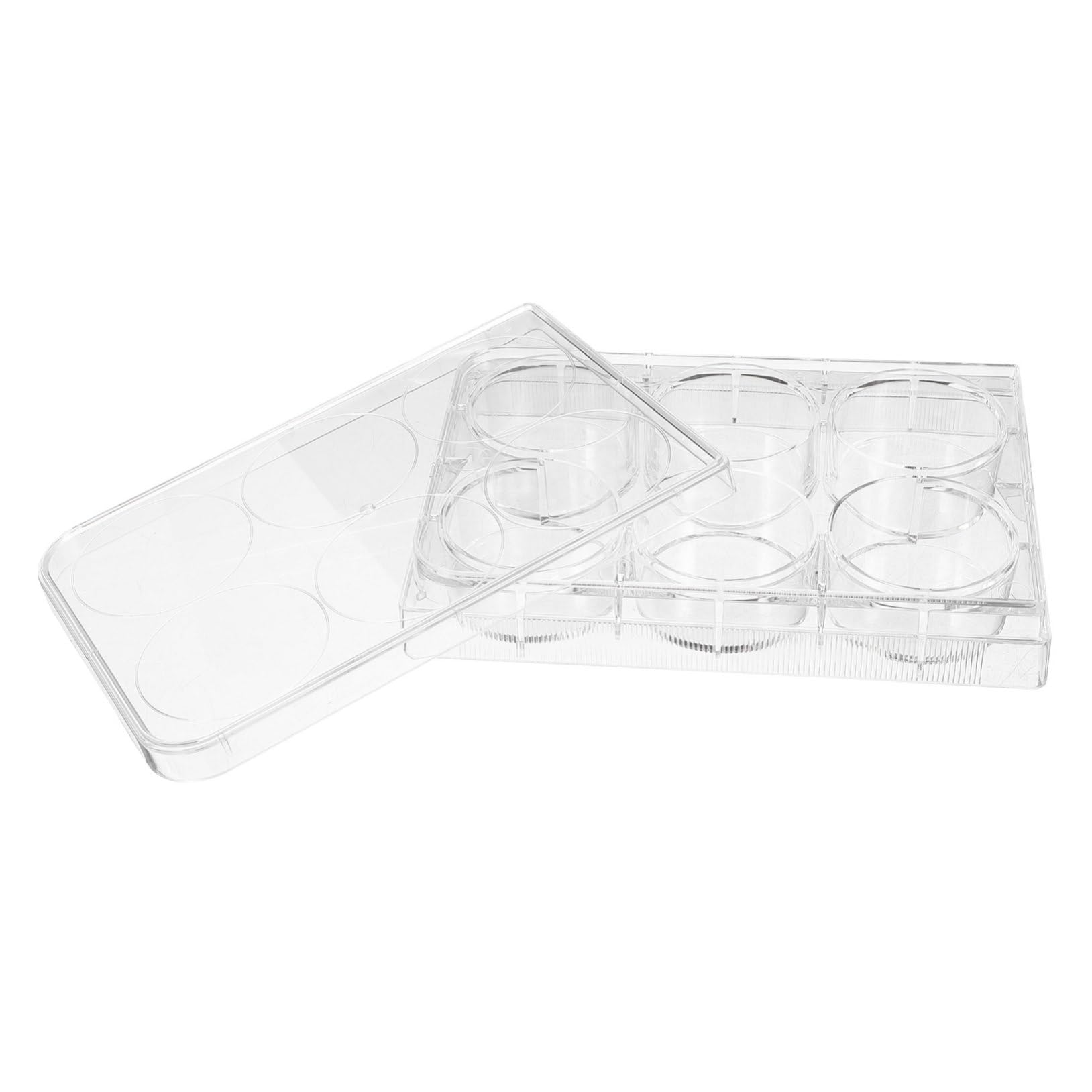 4 Pièces Plaque de Culture Tissulaire avec Couvercle Usage Unique et Polyvalente pour Laboratoire pour Expériences Cellulaires