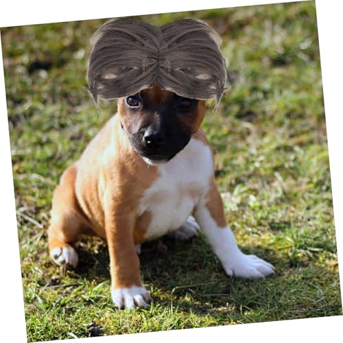 Peluca para perro Yardwe para disfraz y decoración miniatura 6