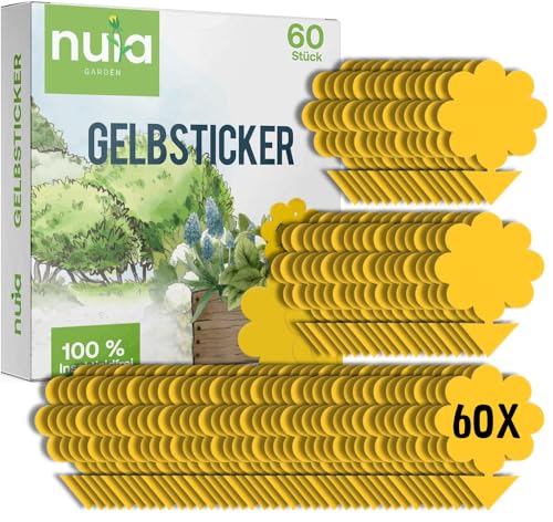 Preisvergleich Produktbild NUIA® XL Gelbsticker-Set - 60x Gelbtafeln zur Trauermücken Bekämpfung - giftfreie Klebefalle für Zimmerpflanzen - effektive Obstfliegenfalle - Gelbfalle gegen Trauermücken