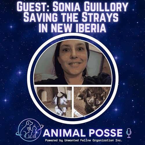Saving the Strays in New Iberia