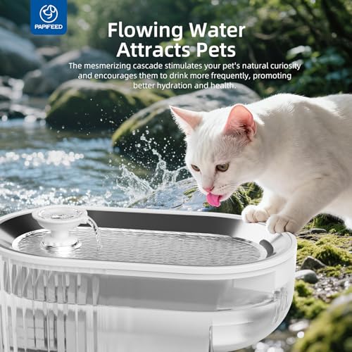 Fuente para agua gato acero inoxidable con filtros miniatura 3