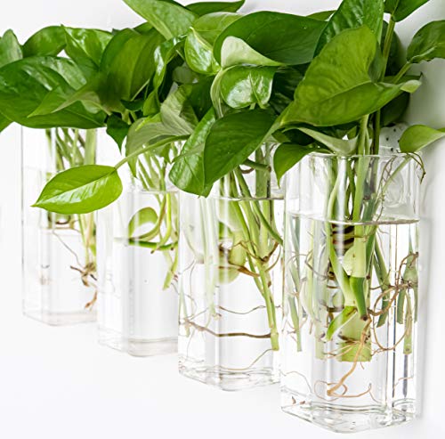Kingbuy Plant Terrarium Container Propagation Station Square Tube Vase Wall Hanging Glass Planter Indoor Hydroponic Plants Home Office Garden Decor thumb #5