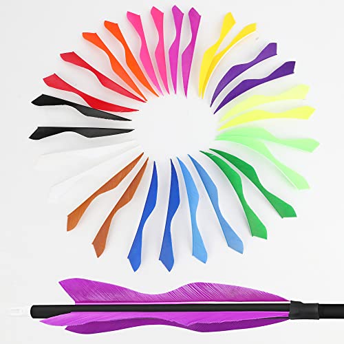 Lot De 181 Plumes Trueflight Gateway – 3 Pouces – Mélange Aile Droite Et Gauche