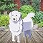 Great Pyrenees