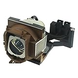 La lampe de remplacement fournit des images claires, lumineuses et nettes for le cinéma maison, les présentations scolaires, les réunions d'affaires, l'éducation, etc.