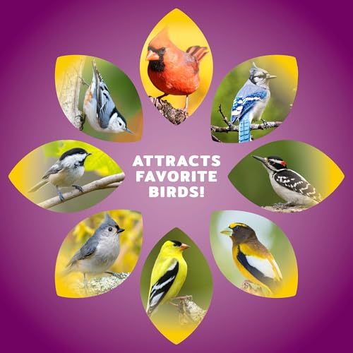 Audubon Park Nut & Fruit Wild Bird Seed, 8 lb by Audubon Park - Image 5