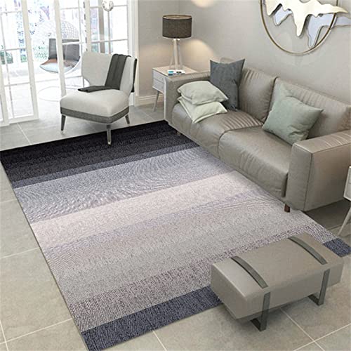 Tapis d'extérieur minimaliste de grand format au design moderne