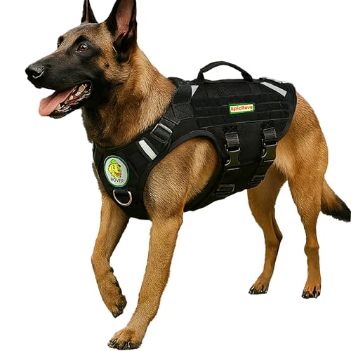 EpicRove Pettorina per cani di taglia media e grande – RoveVest Air, leggera e traspirante, regolabile, ideale per passeggiate, escursioni e uso quotidiano (M)