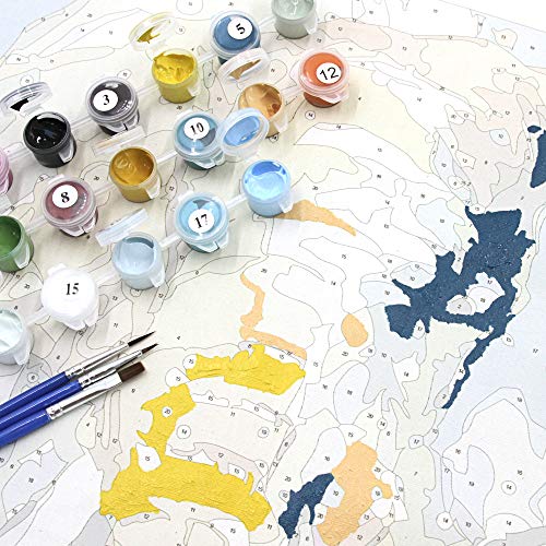 Gronda Pferd Malen nach Zahlen Erwachsene DIY Rosa Blau Tier Ölgemälde Kunstwerk Senior Frau Bild mit Zubehör Stift… – Bild 7