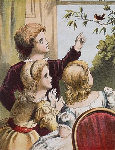 Toile le Friendly Robin de Richard Doyle Affiche Impression Salon 60x90cm