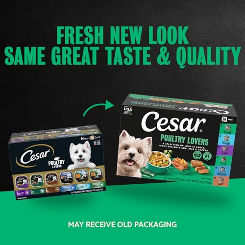 Image of Cesar Classic Loaf in Sauce Wet Dog Food, Poultry Lovers, 3.5 oz, 36 Count | Real poultry #1 ingredient, no fillers or artificial flavors, easy-to-digest, slow-cooked tender texture, easy peel trays