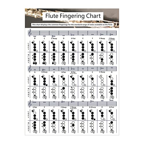 Flute Fingering Chart,Portable Color-Coded Flute Chord Poster for Beginners,Durable Practice Reference Guide for Student Flute Players,Woodwind Instrument Accessory