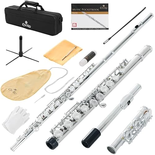 Cecilio Closed Hole C Flute - Musical Instrument, Beginner/Intermediate Flute in Band & Orchestra, Nickel