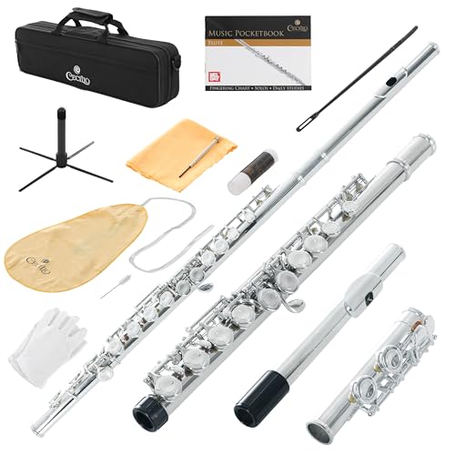 Cecilio C Flute with closed holes for beginning band students