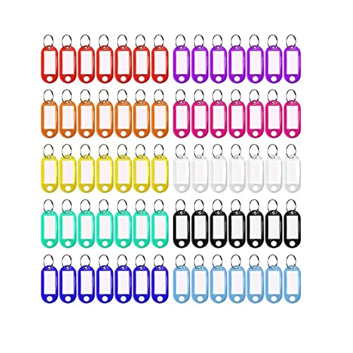 Schlüsselanhänger,100 Stück Kunststoff Schlüsselanhänger mit Ring Auswechselbarem für Hotel,Schule,Büro,Zuhause,Gepäck(10 Farben) Cover