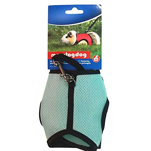 Arnês macio com chumbo para coelhos, conjunto de coleira e peitoral macio para animais pequenos, coe