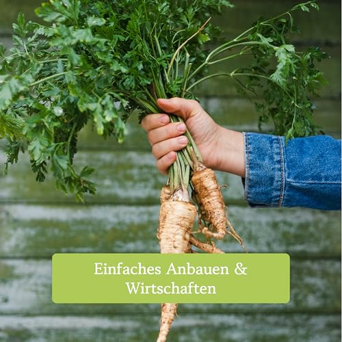 Winter Gemüse Samen Set : 8 Sorten Saatgut Set für die Wintergemüse Anzucht – Porree Samen, Rotkohl Samen, Rosenkohl Samen, Schwarzwurzel Samen, Spinat Samen, Lauch Samen – OwnGrown Samen Winterhart