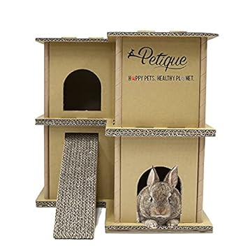 PETIQUE LE Petit ECO PET House