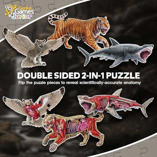 Tiger, Shark and Owl Animal Anatomy Floor Puzzle | 100-Piece Double Sided Jigsaw Puzzle | Scientifically Accurate Illustration - Fun and Educational Toy for Kids and Toddlers (Tiger, Owl, and Shark) - Image 4