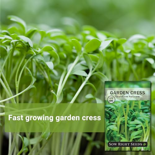 Sow Right Seeds - Garden Cress Seeds for Planting - Non-GMO Heirloom Packet with Instructions to Plant and Grow a Kitchen Herb Garden - Indoors or Outdoors - Edible Leaves and Cute Filler (1)