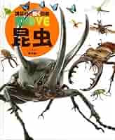 51460CeVi9L._AC_SY200_QL15_.jpg
