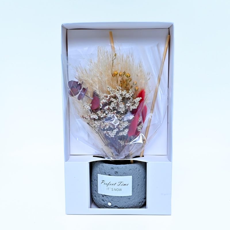 Cortina Preserved Dried Flowers for Wall Decor | Aesthetic Room Decor, Home Decor, Living Room Decor & Bedroom Decor | Great for Christmas Gifting - Red & White - 16x9x28 CM 3