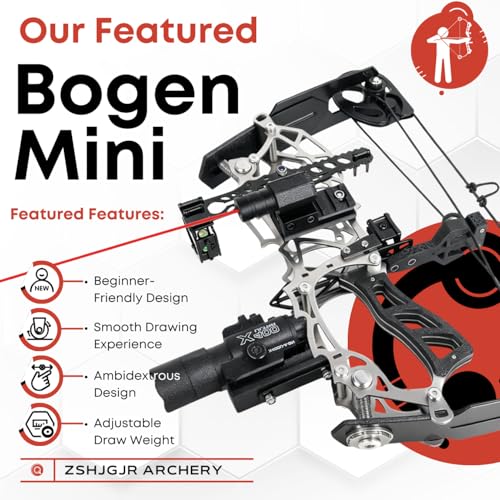 ZSHJGJR Compoundbogen Set für Anfänger Erwachsene / 15–32 lbs CompoundBögen Bogenschießen Bogen und Pfeil Jagdbogen Kompaktes mit Pfeilen und Zielscheiben Bogen Jagd Für Rechts- & Linkshänder (Typ 1)