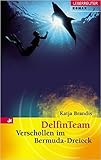 DelfinTeam. Verschollen im Bermuda-Dreieck von Katja Brandis ( Januar 2005 )