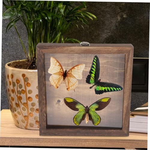 Caja de sombra PRETYZOOM de madera para proteger ramos de flores y manualidades 4