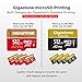 【Switch 1 Only】 GIGASTONE 512GB Micro SD Card, Game Pro, MicroSDXC Memory Card for Gaming Console,Action Camera, 4K UHD Video, up to 150/120MB/s, UHS-I U3 A2 V30 C10【5-Yrs Free Data Recovery】
