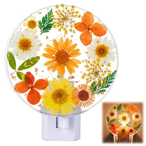 Image of Glooglitter Pressed Flower Night Light Plug in-Handmade Dried Floral Wall Night Light, Soft Glow Decorative Nightlight for Hallway Bedroom Nursery Bathroom, Vintage Botanical(Orange,Flower)